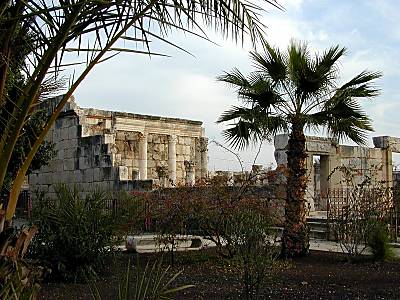 Synagogue de Caperna�m