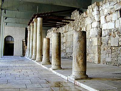 Le Cardo vu du nord