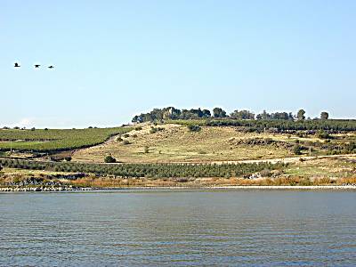 Mont des  B�atitudes vu d'un bateau