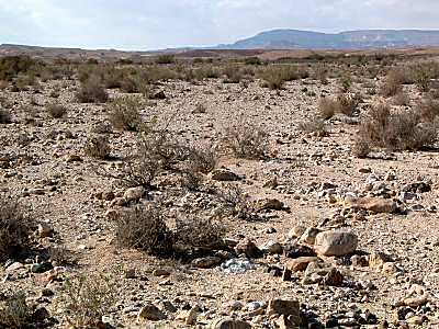 Desert_au_sud_de_Machtesh_Ramon4_tb_q010403.jpg