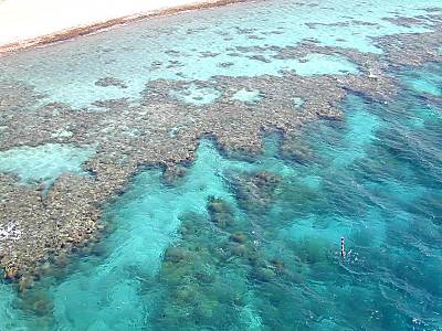 Corail d'Eilat vu d'au-dessus