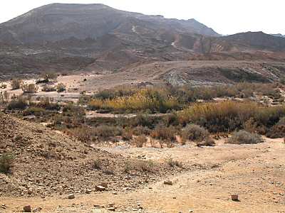 Ein Saharonim