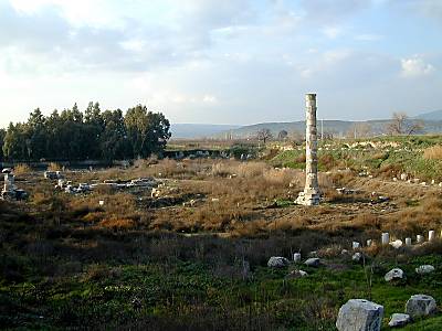 Ruines du Temple d'Art�mis d'Eph�se