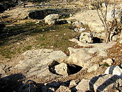 Caves � vin de Gabaon