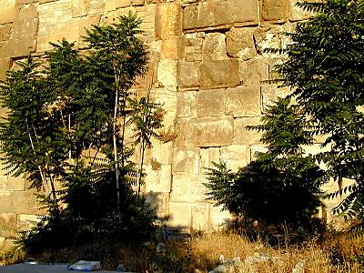 La Jointure sur la muraille orientale du Mont du Temple