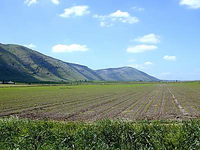 Mont Guilboa vu de l'est