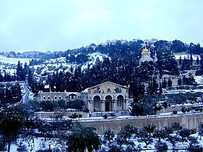 Mont des Oliviers en neige