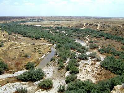 Nahal Besor, côté sud de Tell Sharuhen