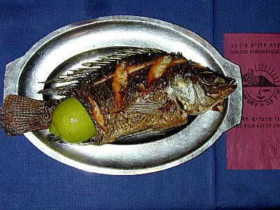Poisson St-Pierre