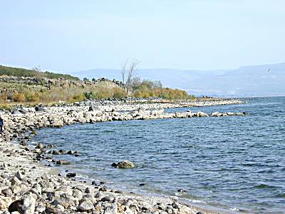 Port deTabgha