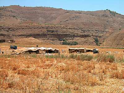 Tentes Bédouines près du Jabbok