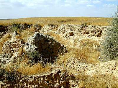 Excavations � Tsiklag (Tel Sera)