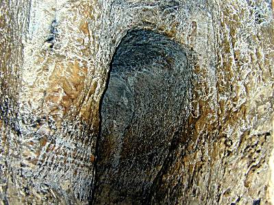 Lieu de rencontre du Tunnel d'Ez�chias