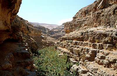 Murs du Canyon du Wadi Qilt