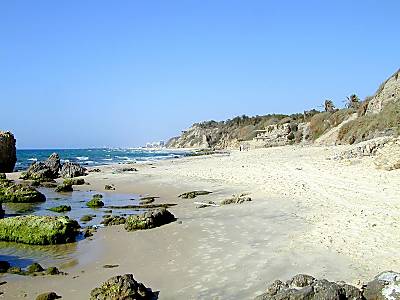 Plage d'Askalon vue du nord 