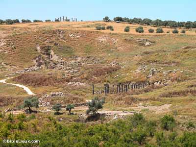 Abila, excavations vues nu nord-est