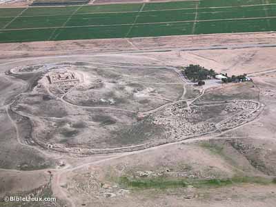 Tel Arad