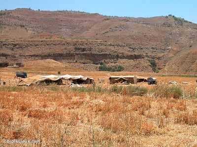 Tentes Bédouines près du Jabbok