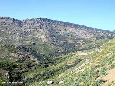 Montagnes de Galaad � l'ouest d'Ajlun
