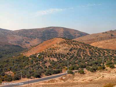 Tell Maqlub, probable Jab�s en Galaad