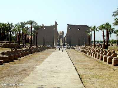 Temple de Louxor et  Avenue des Sphinx