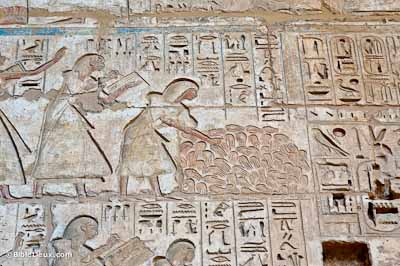 Medinet Habu, comptant les mains