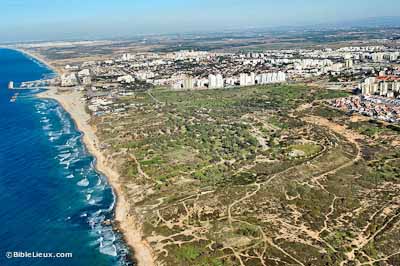 Askalon (BibléLieux.com)